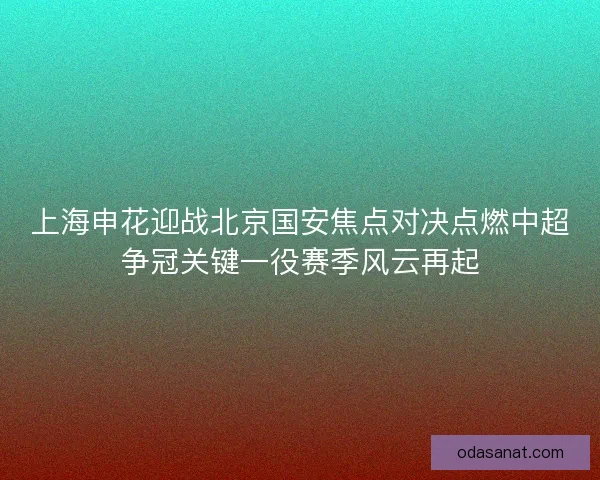 上海申花迎战北京国安焦点对决点燃中超争冠关键一役赛季风云再起